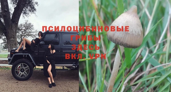 ALPHA-PVP Волоколамск